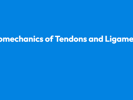 Biomechanics of Tendons and Ligaments