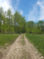 20190626_130501.jpg