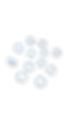 PP - 3.1 Gram