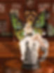 beer_fairy_edited.jpg