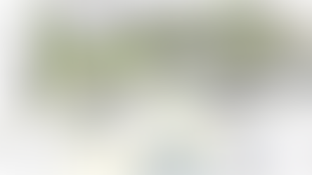 Exploring the Vel R. Phillips Plaza Art Commission