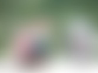 Insider’s Guide to the Complexities of Retirement Plan Rollovers