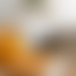 Chien âgé devant un pot de pâte de curcuma