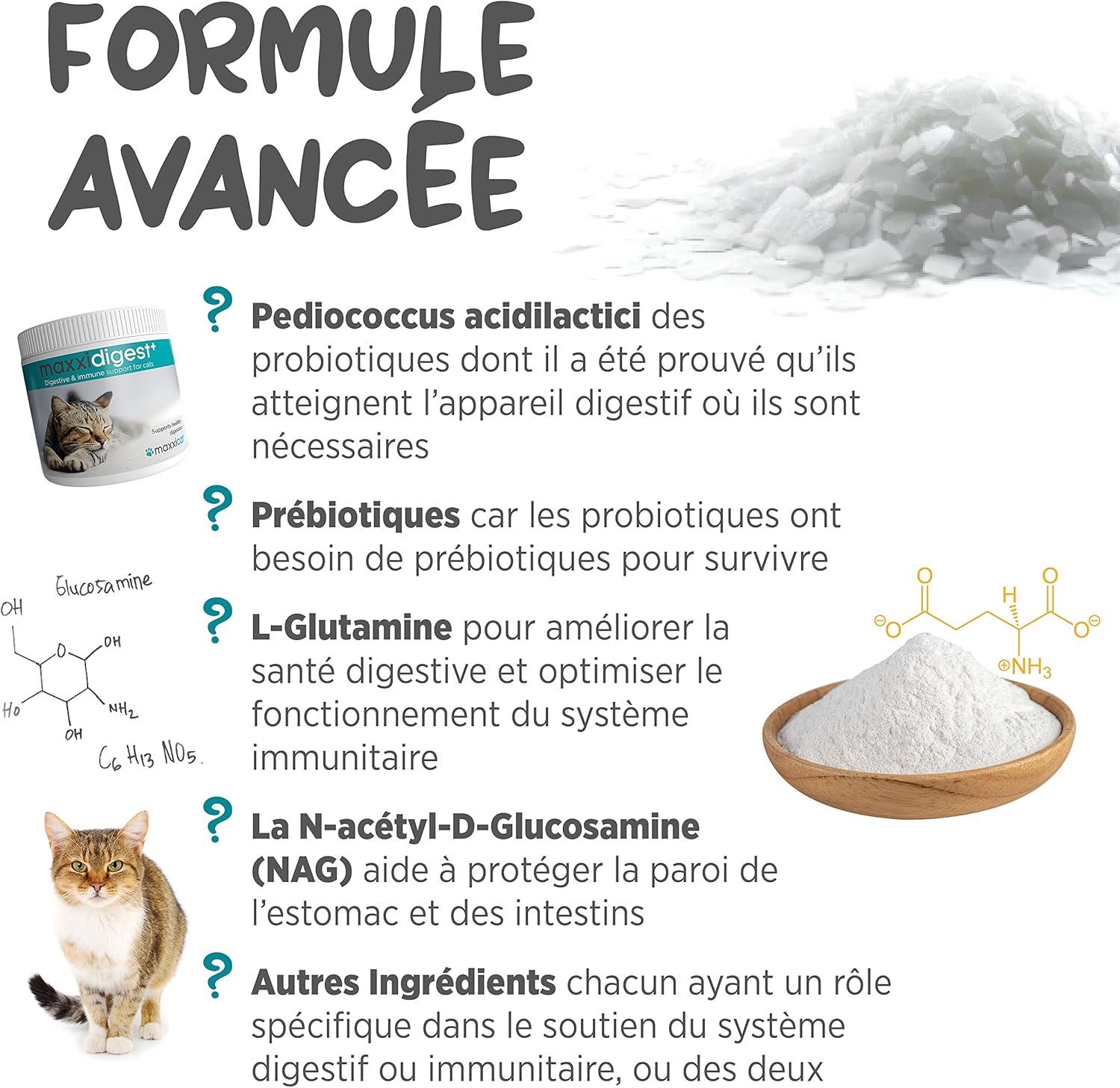 maxxidigest+, maxxipaws, système digestif chat, probiotiques chat, prébiotiques chat, enzymes chat, diarrhées, flore intestin