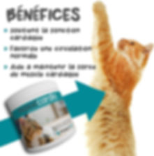 maxxicardio maxxipaws complément cardiaque chat santé coeur chat ingrédients naturels poudre