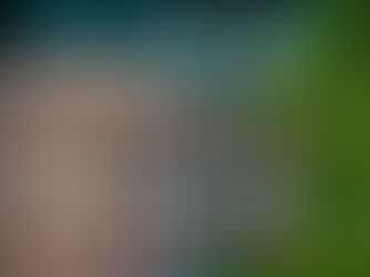 Detroit Tigers andStruggles