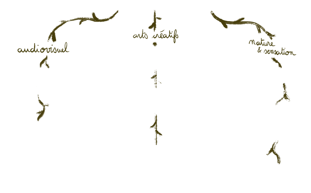 Illustration_sans_titre 29.png