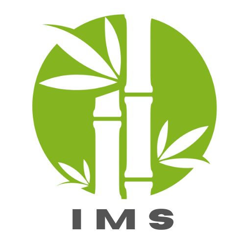 Bambú México Logo Icon
