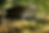 2022-04-22_19-31-48.png