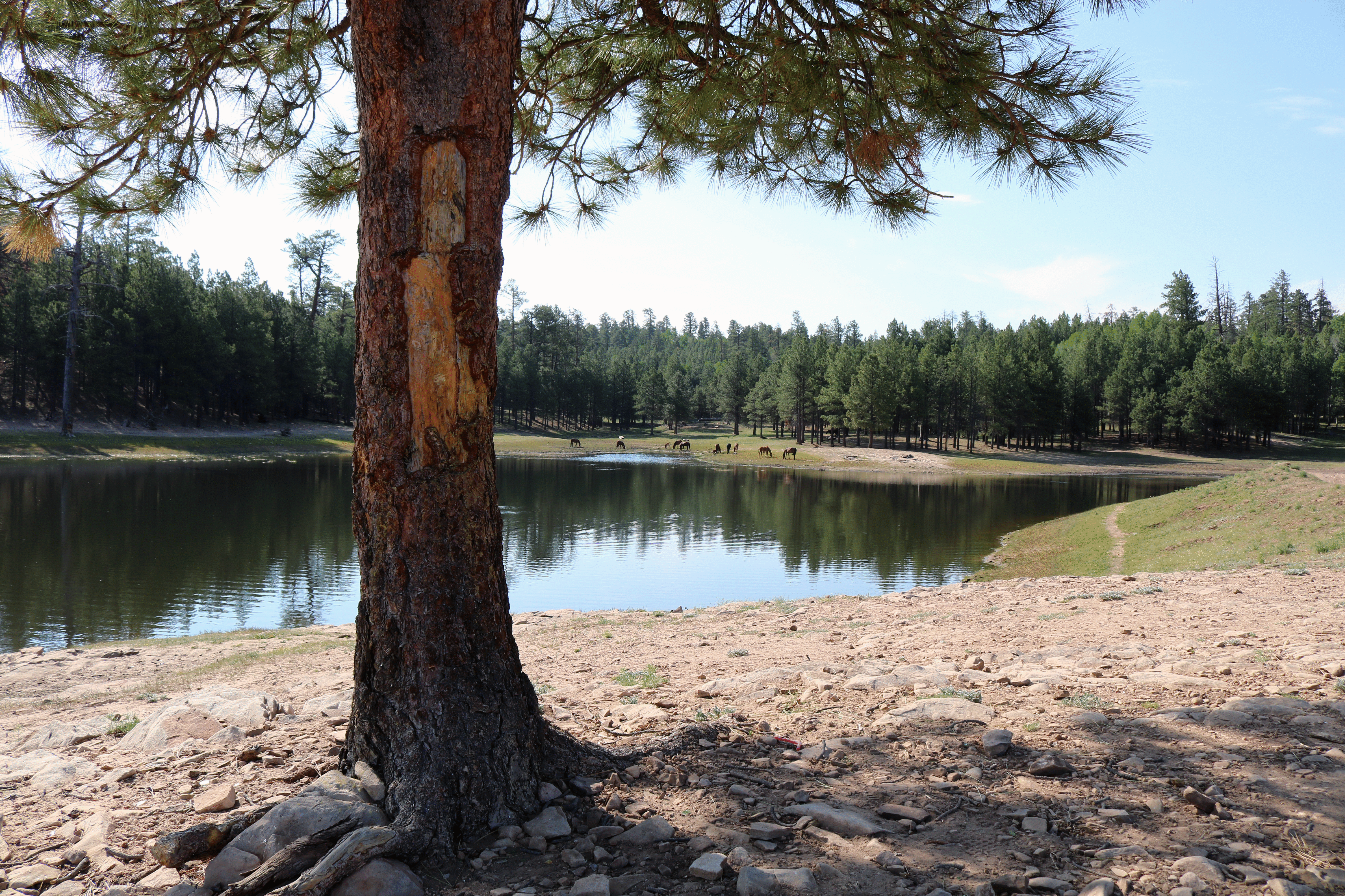 Berland Lake