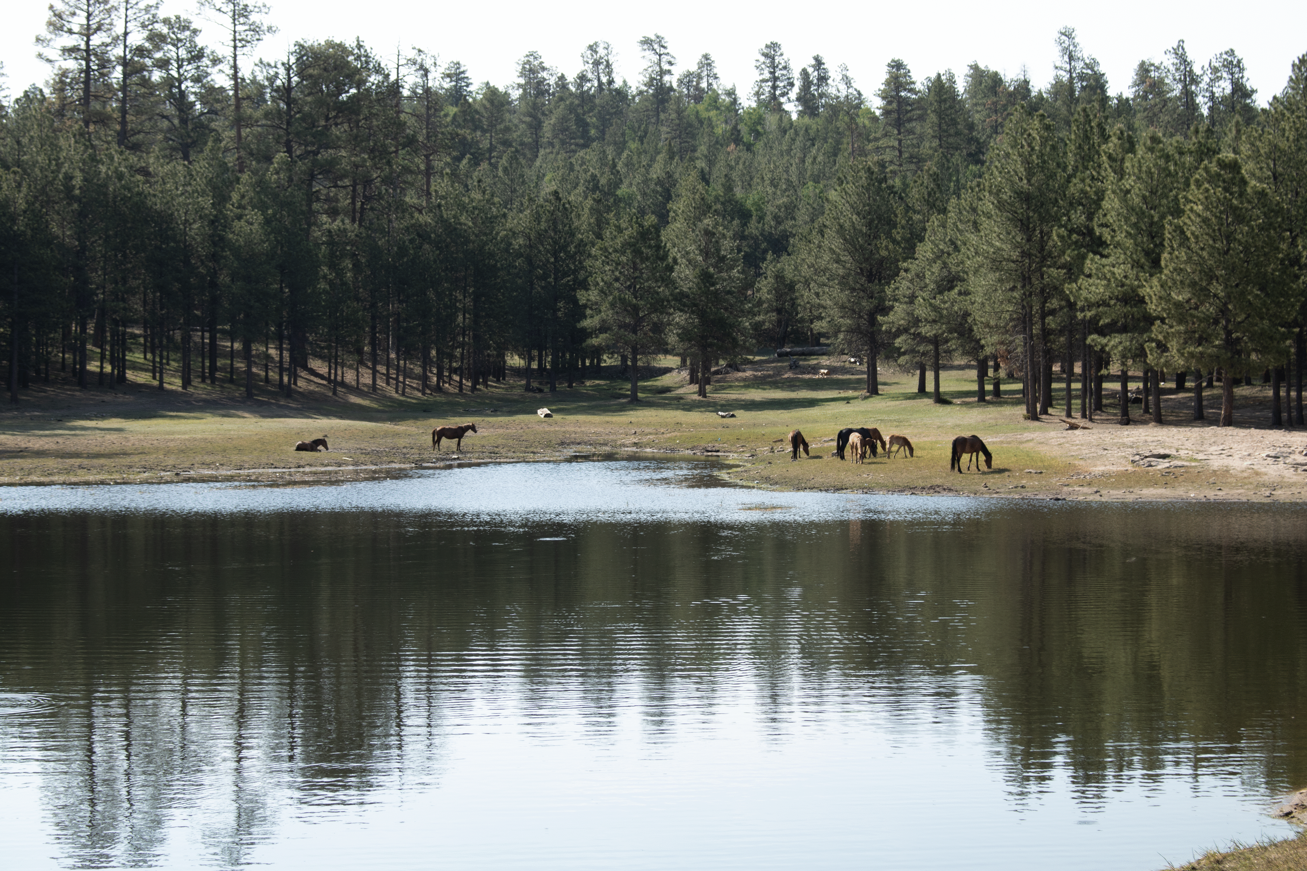 Berland Lake
