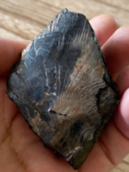 Elite Noble Shungite 60grams Specimen #001