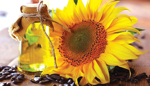 sunflower oil for skincare