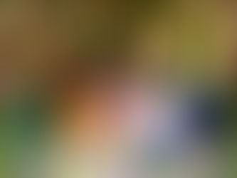 How Using Crystal Healing Can Help You Positively