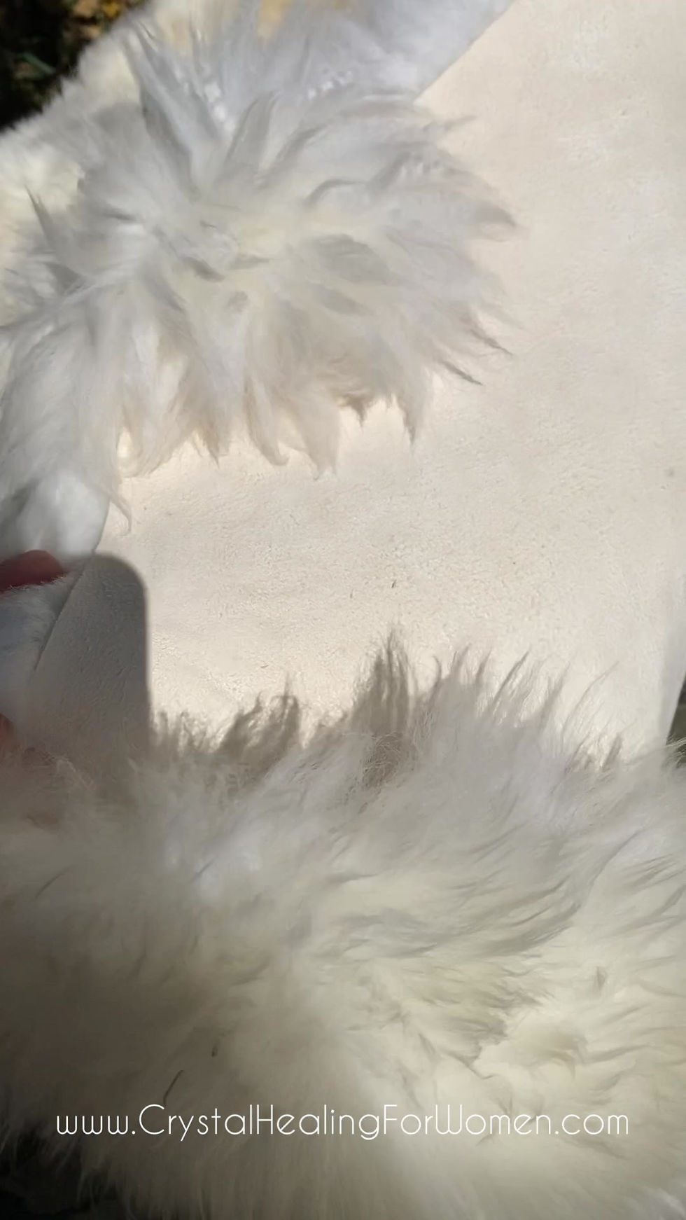 Thumbnail: Natural Sheepskin Rugs
