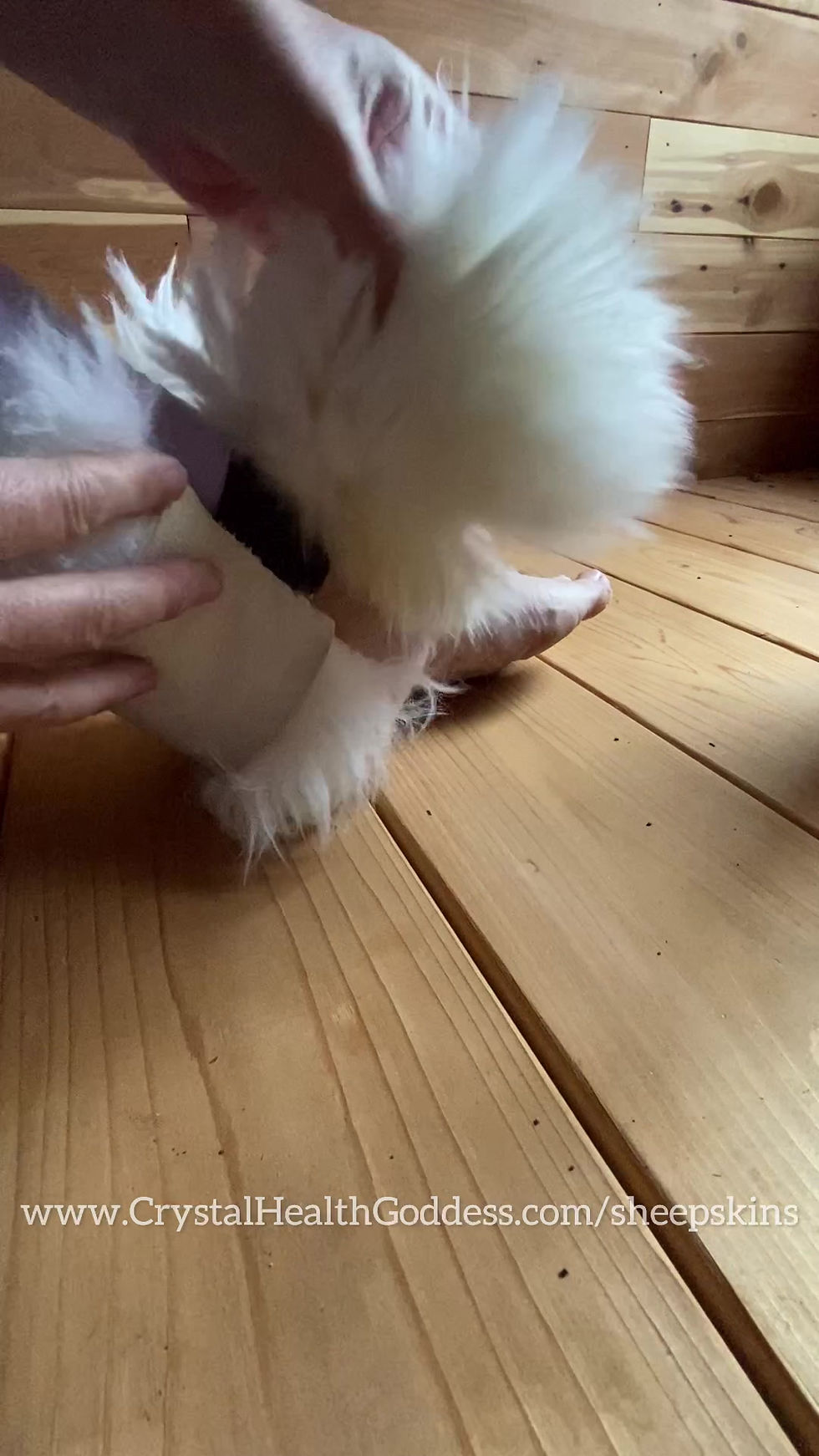 Thumbnail: Sheepskin Ankles Pain Comfort Wrap
