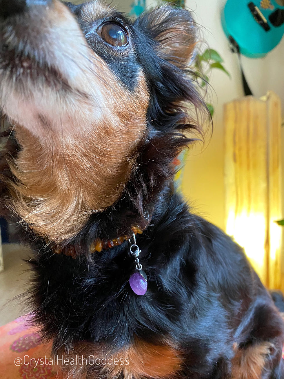 Thumbnail: Pet Collar Pendant With Amethyst