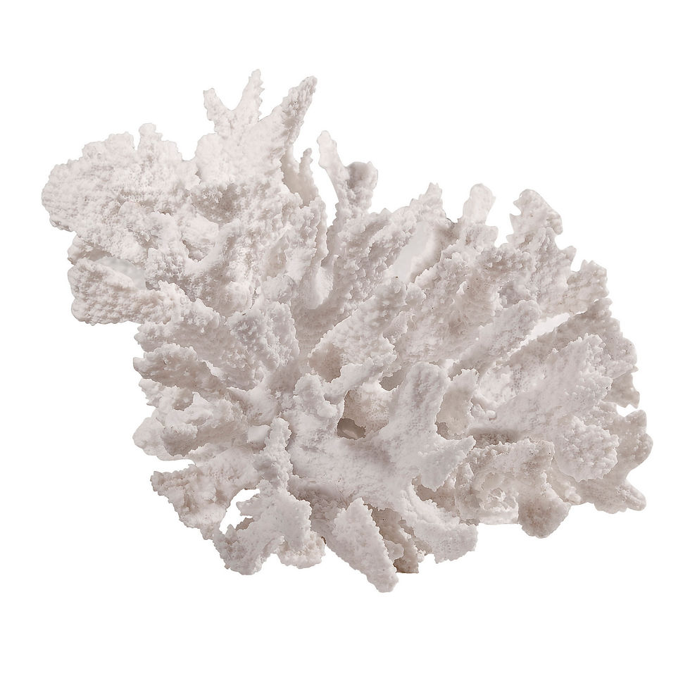 White coral hospitality decorative accessories