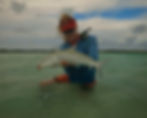 Fly fishing for bonefish