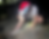 ree