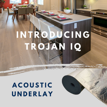 Introducing Trojan IQ!