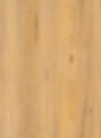 Blackbutt