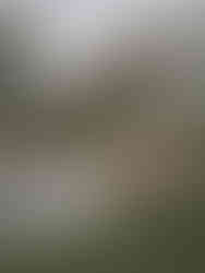 Stefanski (65 of 73)