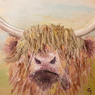 Ox multi-media