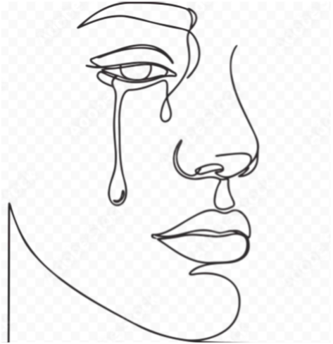 TODAY I CRIED by janis small omide