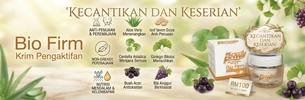 Bio Firm komputer v1.png
