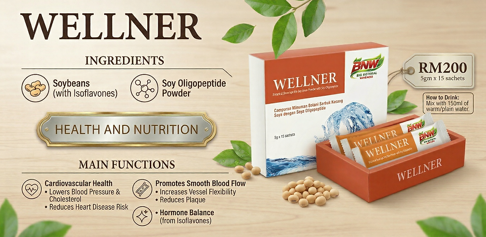 Wellner tablet v1.png