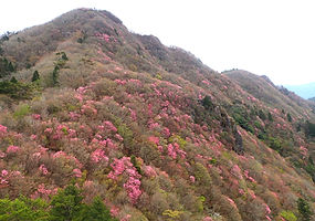 P5111916a.JPG
