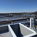 IMG-20200304-WA0017.jpg