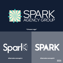 3 wordmarks of for Spark agency group all three designs depict an abstract form of a spark being ignited within the wordmarks