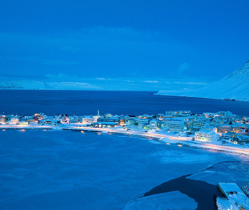 20220218-DJI_0488-2_edited.jpg