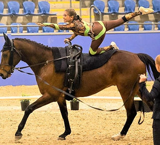 Image (009)_edited_edited.jpg