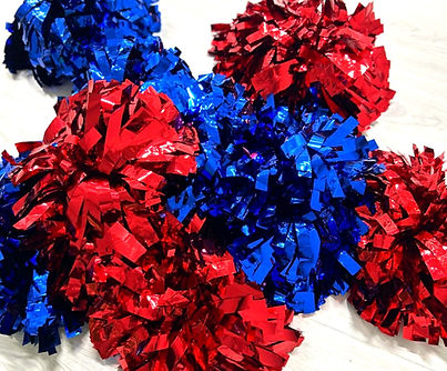 WhatsApp Image 2025-04-04 at 10.53.34_1.JPG