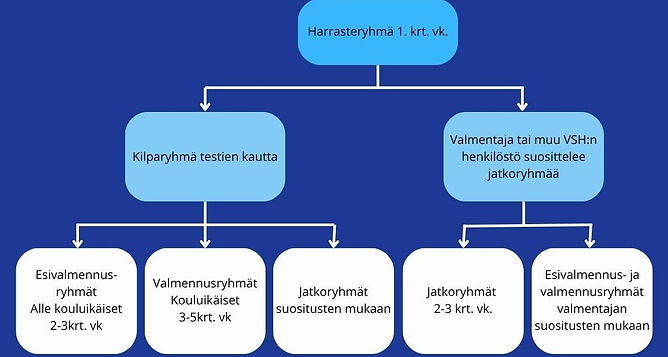 VSH valmennusryhmien valintaprosessi (3).jpg
