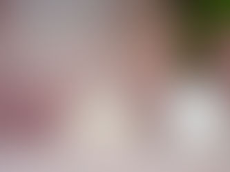 How to Introduce a Ragdoll Cat to Your Home (Kitten or Adult)