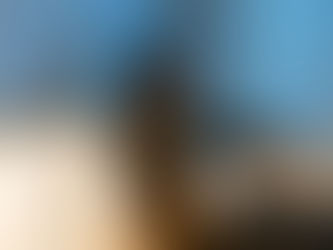 How Alcohol Causes Inflammation: Understanding the Hidden Impact on Your Body