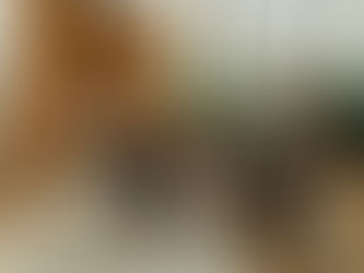 Holistic Therapy vs. Traditional Therapy Explained