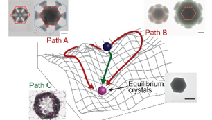 Discovery of novel MOF growth pathways using microfluidics