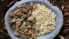 Frankincense (Boswellia): History, Uses, Benefits, and How This Ancient Resin Supports Healing