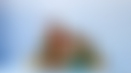 The Prepared Pantry: A Practical Guide to Stocking Up for Winter, Emergencies, and Everyday Peace