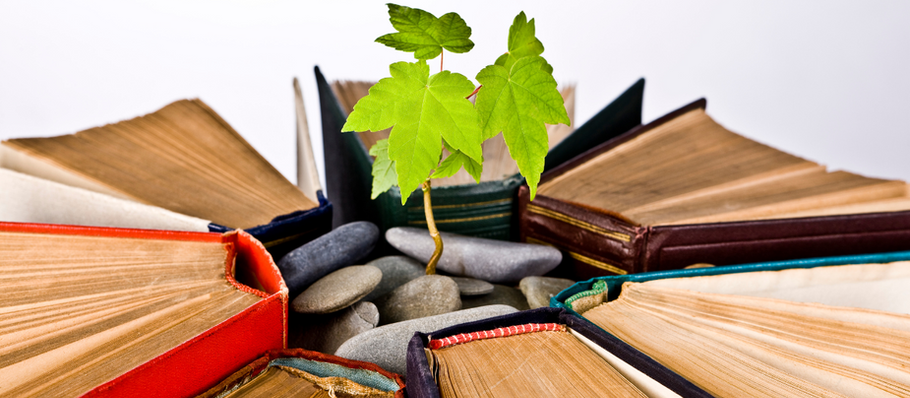 Doctrine of Signatures, Taste, and Color in African Herbalism