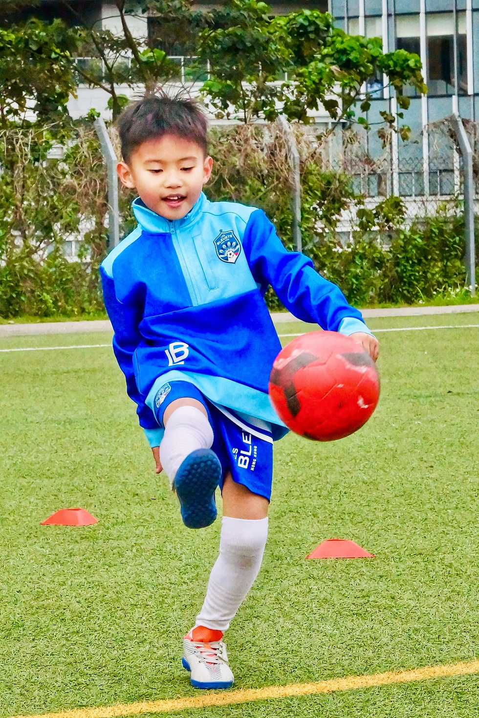 Les Bleuets Sweatshirt