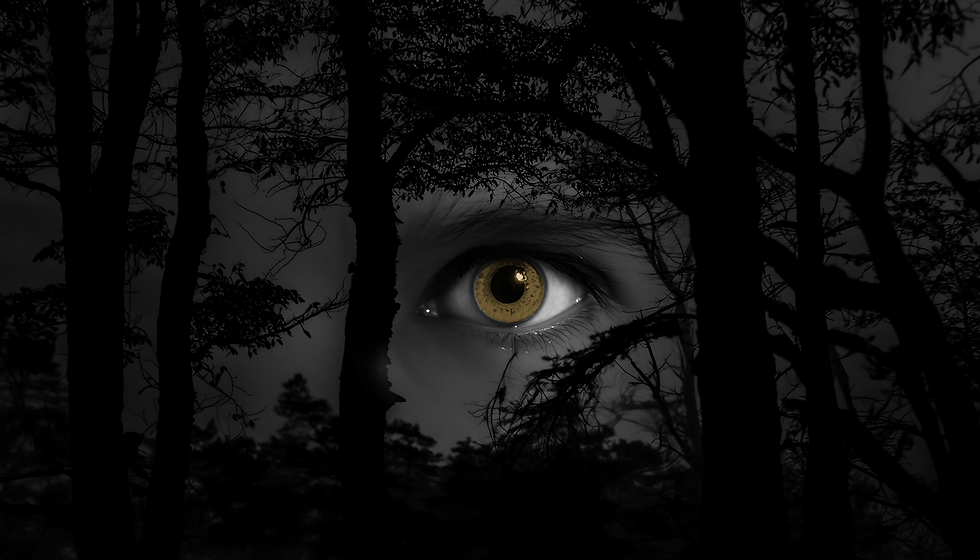 wolf eyed girl.png