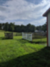 received_357555098225066.jpeg