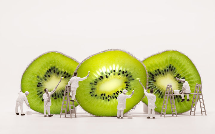 Kiwi_Mini People.jpeg