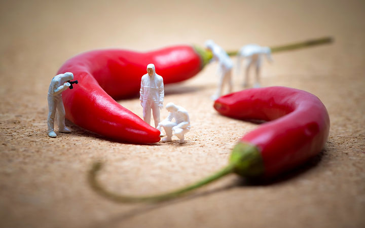 Chilli_Mini People.jpeg